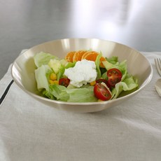 이능호그릇 TOP01