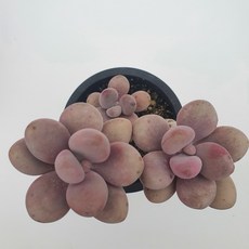 4ef5f03de304966a84de63eb37454889f9b2c1b053b69d4186408b56a1f3.jpg