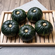 산지직송 제주 미니 단호박, 1박스, 로얄과 3kg