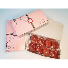 파지약과-추천-상품