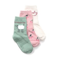 블루독키즈양말