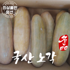 국내산 노각 노각무침 피클오이 늙은오이 3kg 5kg