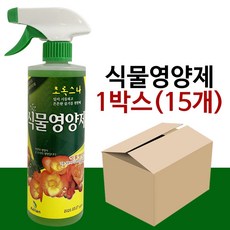 루체라스 TOP01