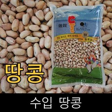 윤스테이땅콩