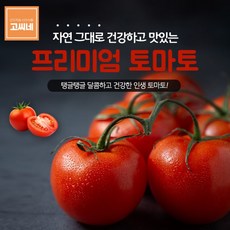 흑토마토5kg