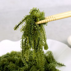 극주부도단행본