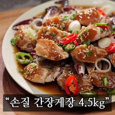 코원dap