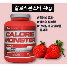 칼로리몬스터
