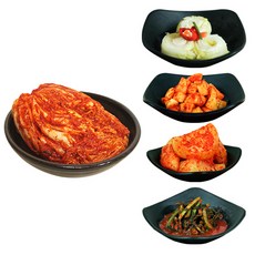 맛깔스런 김치 5종 모음 충청도식 깔끔한 맛 100% 국산 재료, 열무김치, 5kg