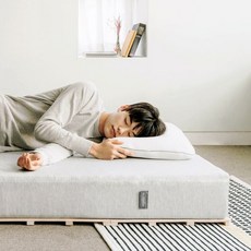 [천삼백케이] [프로젝트슬립] 메모리폼 듀얼베개, 단품