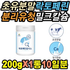 자임곤약젤리