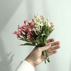 부바르디아