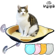 //상품명