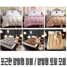 투인원양모이불