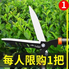 a62f4845b8c0adc90371261134f1604702ebe796ded9e0d436a9bd0db274.jpg