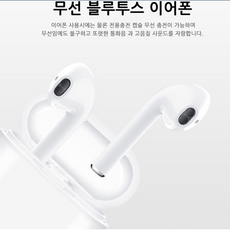 애플이어팟