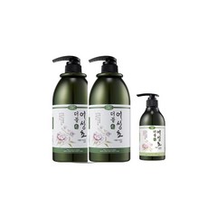 더블모 어성초 샴푸 탈모 1000ml 2개 + 모발팩 1개, 1L