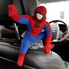 자동차천정형tv