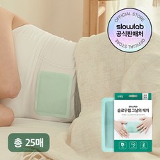 슬로우랩그날의패치 TOP01