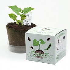 팜팜농장관찰일지