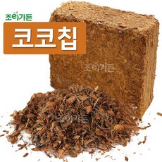 야자상토