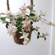 todasiptimeh60088포트총알배송