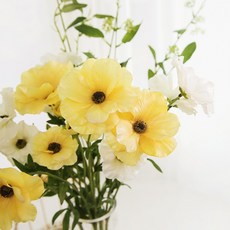 5a93b930d3e1c63bf49a98e4c45557c1fe55bc9e1c8d09de11a01e176942.jpg