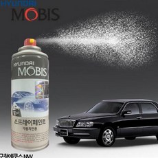 구형에쿠스앰프