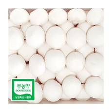 부여 무농약인증 프리미엄 양송이버섯 특품 2kg, ONE COLOR, ONE SIZE