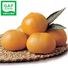 단감10kg TOP01
