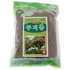 서초원 꾸지뽕환골드(지퍼백)(300g), 300g, 1개