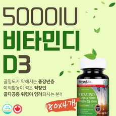 비타민자료해석