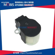 홀더서브 브러시 (373683C200)