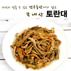 건우농산 국내산 삶은 토란대나물 500g 1팩 토란나물, 1개