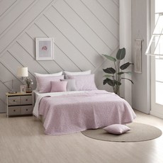 알레르망워싱스프레드