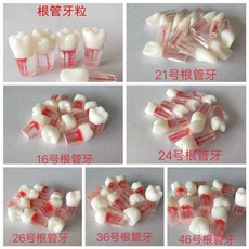 8인8색근관치료