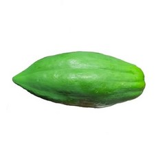 그린파파야