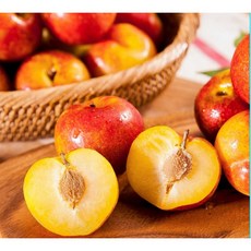 [제철특가] 노지 자두 햇 자두 (다둥이농원), 소, 1개, 1kg