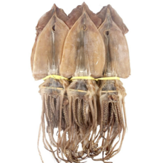 더줌 울릉도 근해 어획 마른 오징어 (대)사이즈 동해안 해풍 자연 건조 건 오징어 20미(2.0kg) 10미(1kg), 20개