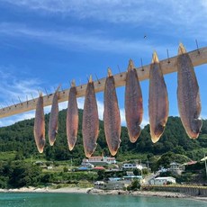 여수 남해 국내산 반건조 생선 서대 박대 가정용 제수용 구이용 생선, 서대 특대 3미(국산)), 1개