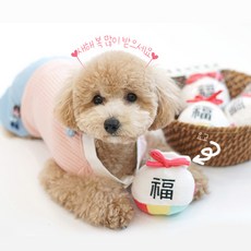 강아지한복만들기