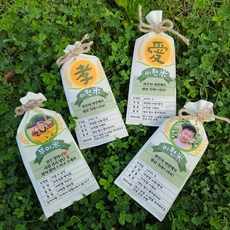 명절 용돈 봉투 쌀 포대 가마니 설 추석 부모님 선물, 1.효도 효, 1개, 1.효도 효