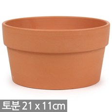 낮은토분 TOP01