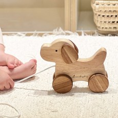 강아지 산택놀이 원목교구 걸음마장난감, 강아지산책놀이, 1개