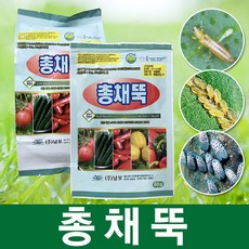 총채뚝/총채벌레약/총체벌레약/고추 배추 바이러스/텃밭 친환경 유기농 토양살충제 살균제, 선택01. 총채뚝 1kg (입제)