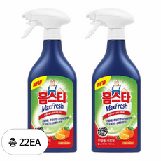 홈스타 맥스프레쉬 주방용 세정제, 500ml, 22개