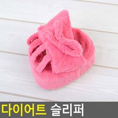 까치발슈즈