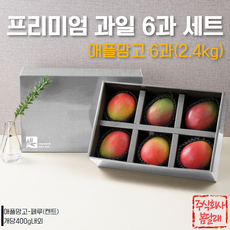 봄달래 망고 선물세트 설 명절 선물용 프리미엄 과일 망고, 1세트, 애플망고 6과 (2.4kg내외)