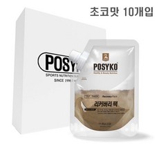 파시코 리커버리팩, 400g, 1개, 초코맛