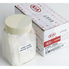 파노라마썬루프구리스